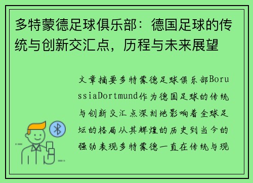 多特蒙德足球俱乐部：德国足球的传统与创新交汇点，历程与未来展望